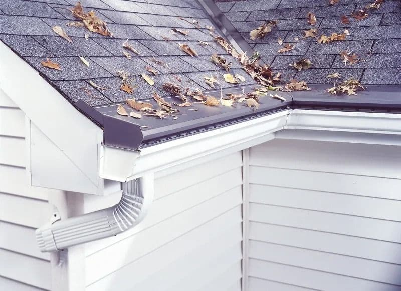 leaf protection gutters