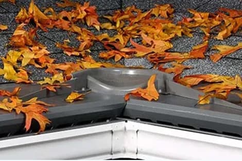 gutter leaf protection