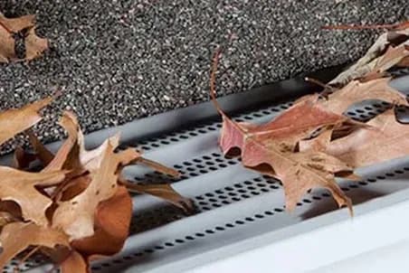 the solution leaf protection